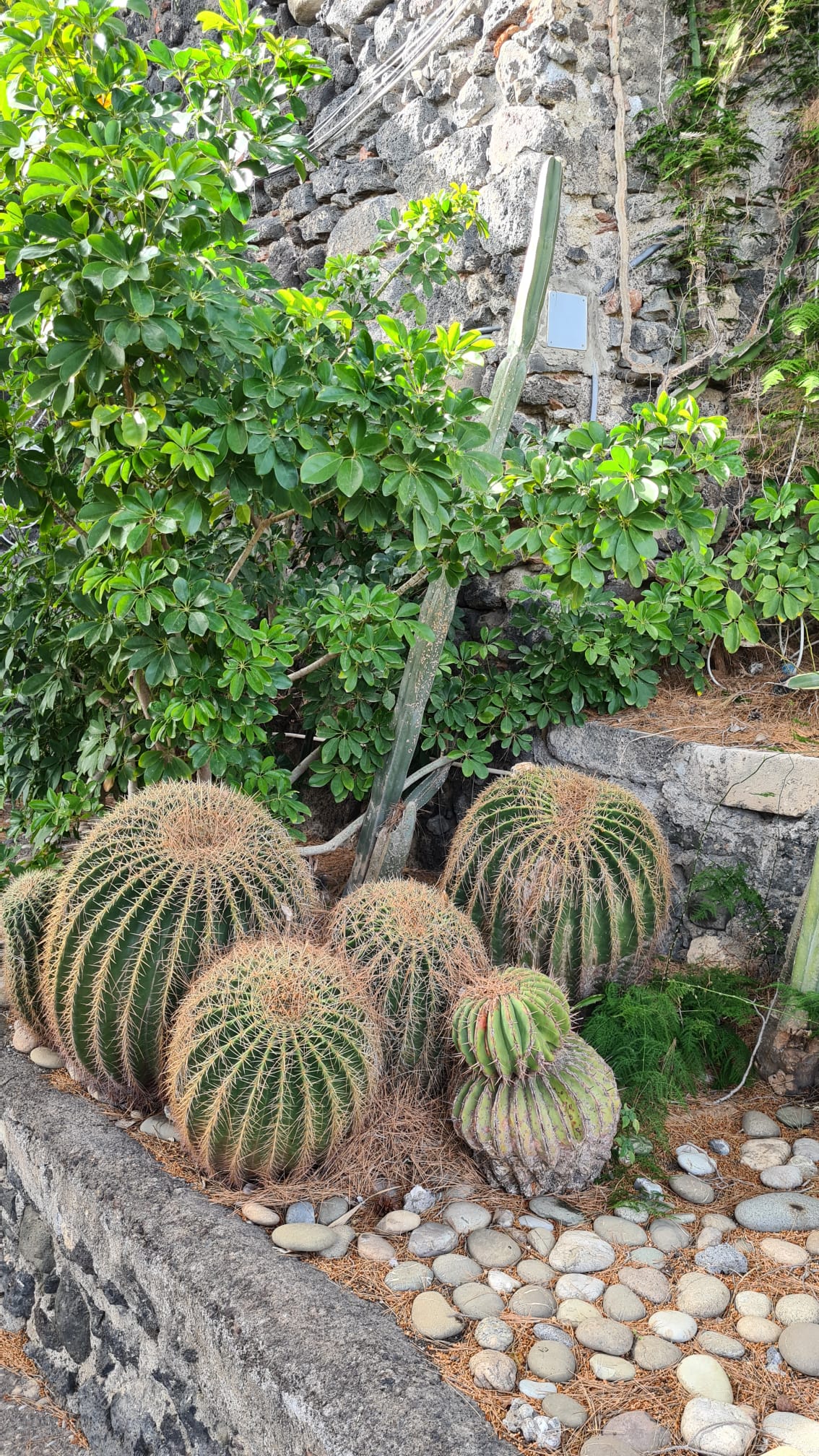 31
